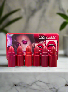 6 Color lipstick set